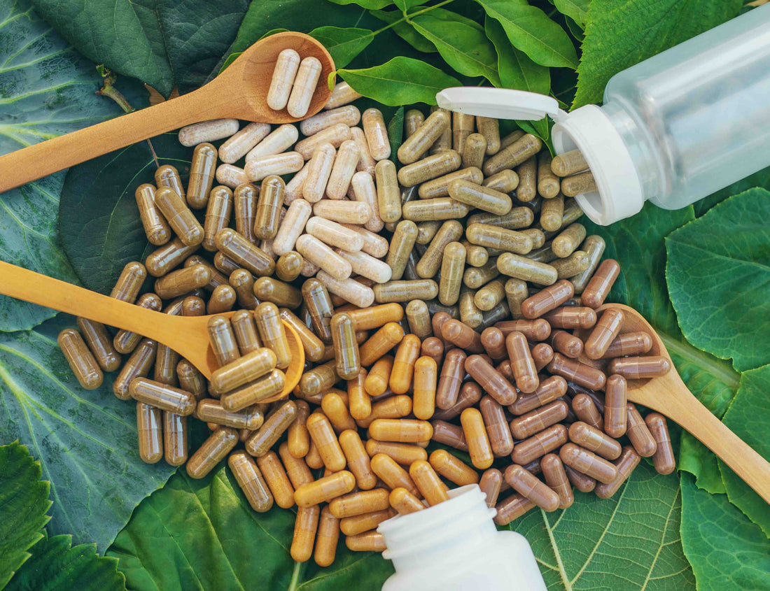 Vegan capsules laid out on cabbage leaves and surrounded by wooden spoons.